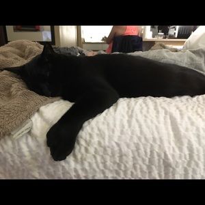 Meet your Posher, Leah